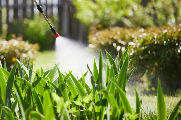 24/7 Emergency Wasp Removal experts in Boaz, WV